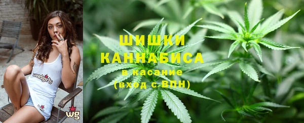 ПСИЛОЦИБИНОВЫЕ ГРИБЫ Михайловка